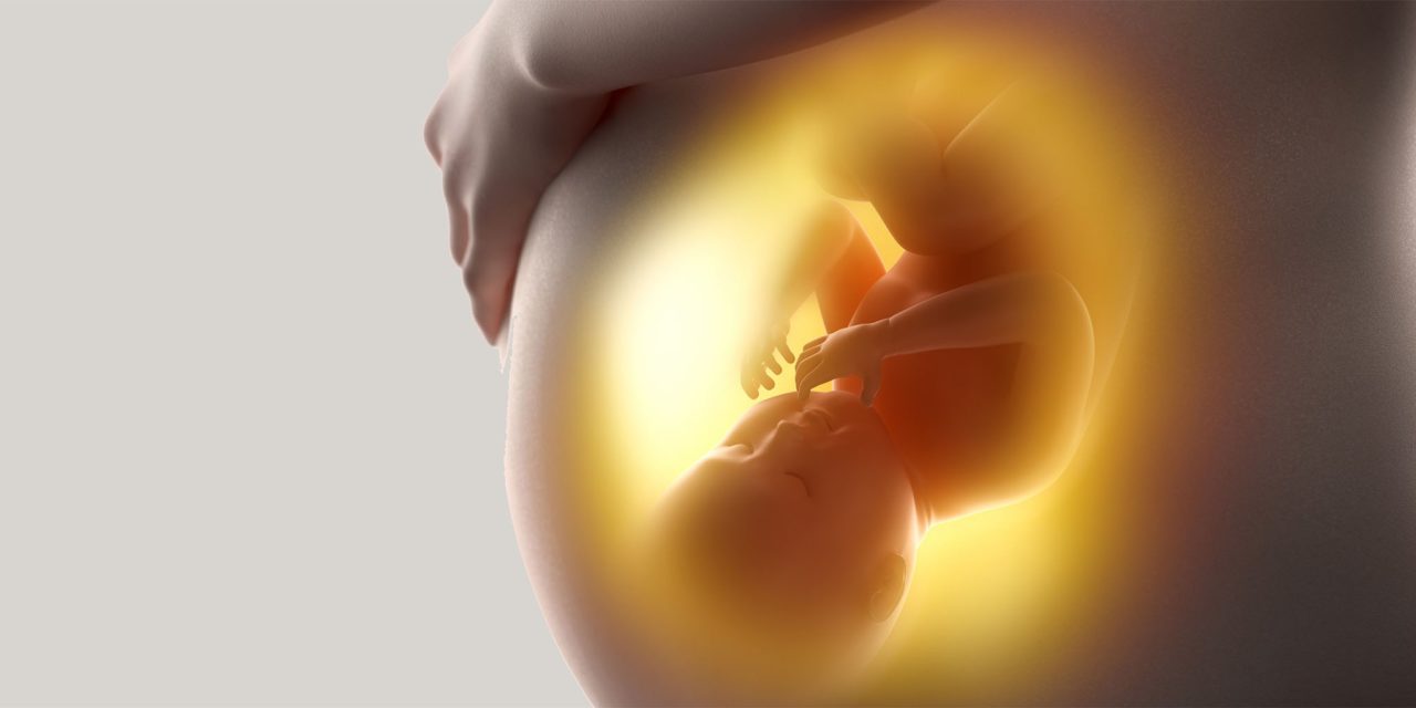Trasplante de útero: Una revolucionaria innovación científica para quienes sueñan con ser madres