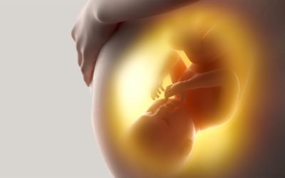 Trasplante de útero: Una revolucionaria innovación científica para quienes sueñan con ser madres