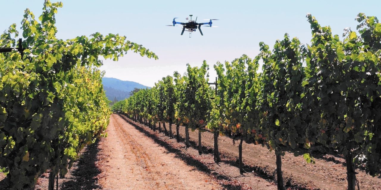 De Silicon Valley a Rosario, con la mirada puesta en el campo