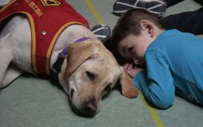 Perros todoterreno: sacan medias y bajan cierres