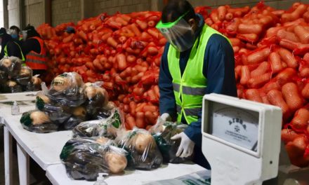 Echeverría: compran hortalizas directo a los productores para sumar a los bolsones de comida ahorrando costos
