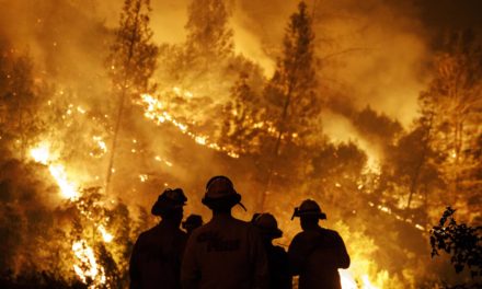 Fuego sin control: denuncian recortes en la lucha contra los incendios y piden que haya una ejecución mínima del Presupuesto