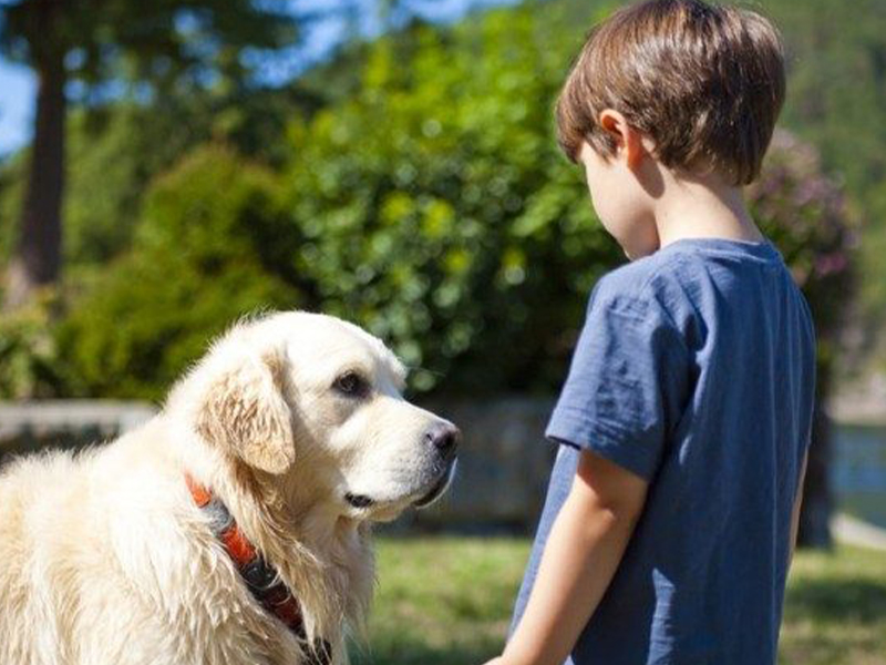 El rol de las mascotas en niños y niñas con TEA según una investigación