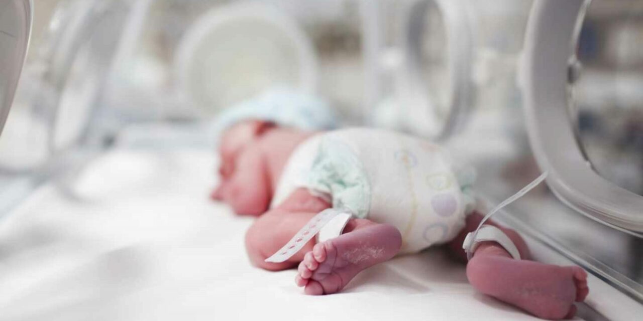 Semana del Prematuro: ¿cómo prevenir alteraciones de neurodesarrollo en los bebés?
