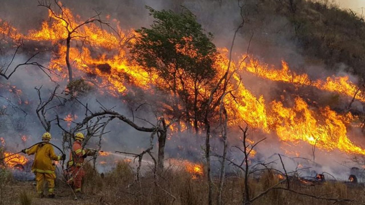 Polémicas y dudas sobre los proyectos que buscan frenar los incendios forestales