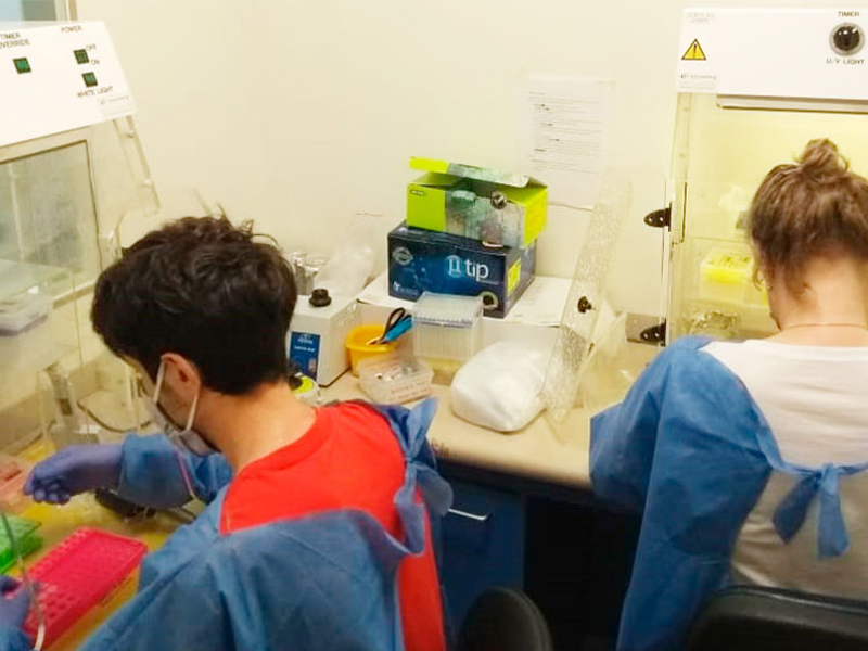 La ANMAT autorizó el uso de un kit que agiliza los testeos de coronavirus