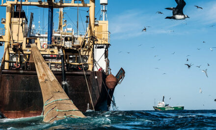Pesca ilegal en el Mar Argentino: entre la destrucción del ecosistema y las pérdidas millonarias