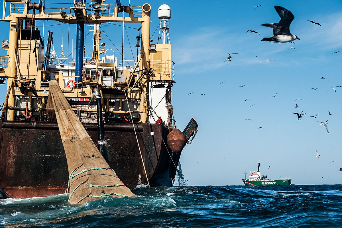 Pesca ilegal en el Mar Argentino: entre la destrucción del ecosistema y las pérdidas millonarias