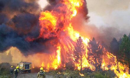 Incendios en La Patagonia: 15 personas desaparecidas y más de 100 viviendas afectadas
