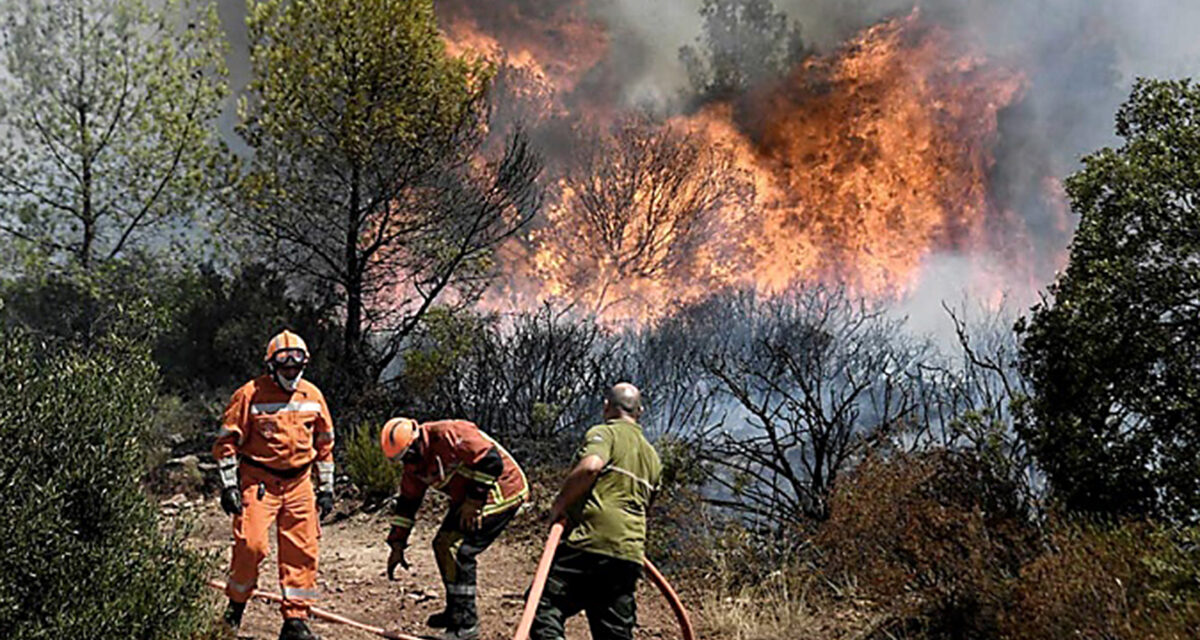 Incendios sin control: ¿cómo se desfinanció la prevención contra el fuego?