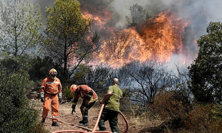 Incendios sin control: ¿cómo se desfinanció la prevención contra el fuego?