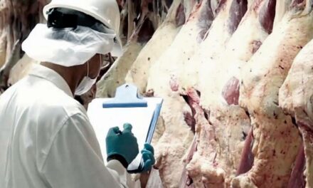Flexibilizaron el cepo exportaciones a la carne tras el revés electoral