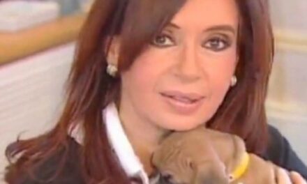 El video viral de Cristina Kirchner con sus perros