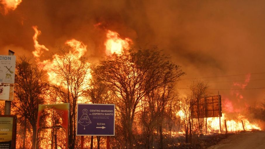 Al menos, 320.000 hectáreas se vieron afectadas en Córdoba por los incendios forestales de 2020