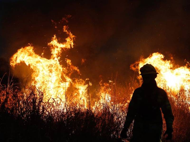 Los incendios forestales de Córdoba en 2013 quemaron hasta 40.000 hectáreas