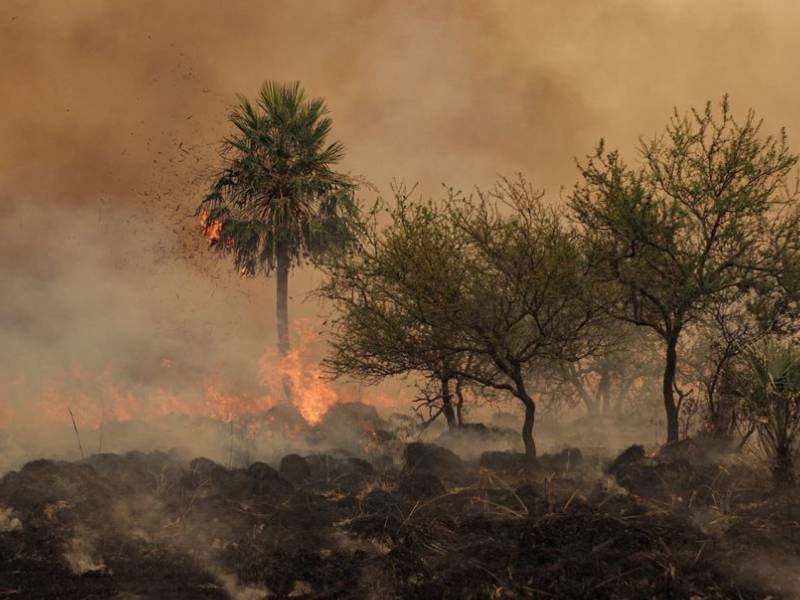 Arde Corrientes: el desastre ecológico y social que se pudo evitar