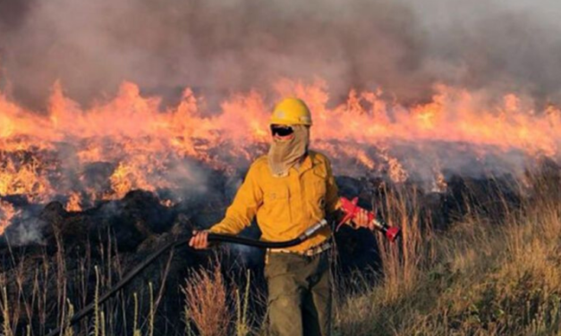 Incendios en Corrientes: la foto que conmovió al país y cómo sigue la situación