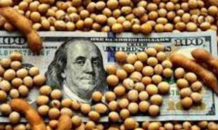 Qué es el «dólar soja”, y cómo beneficiaría a los productores