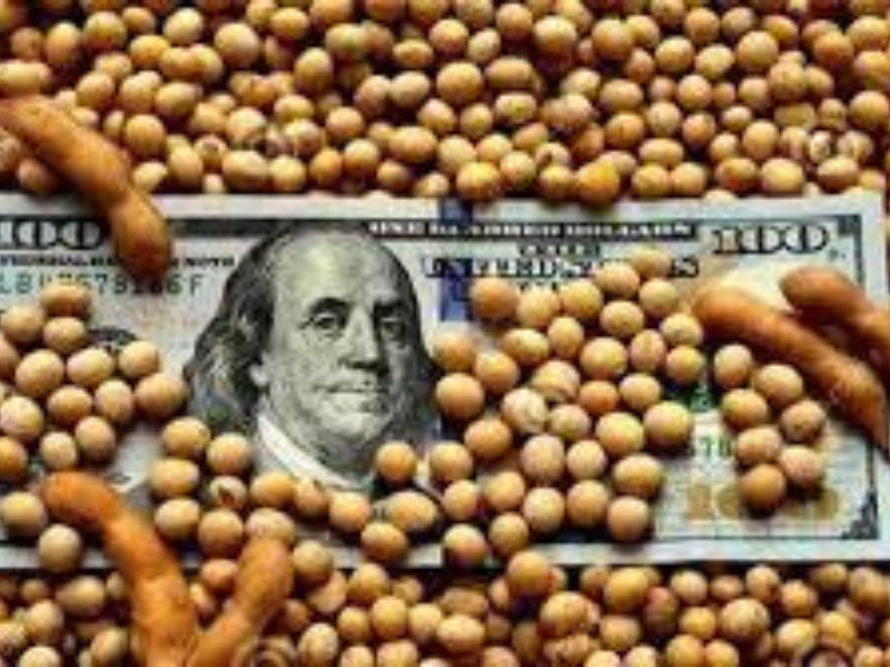 Qué es el «dólar soja”, y cómo beneficiaría a los productores