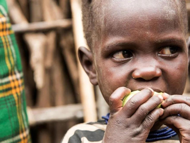 Cada 4 segundos muere una persona por hambre en el mundo