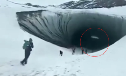 Ushuaia: Un turista brasileño murió tras ser aplastado por un bloque de hielo