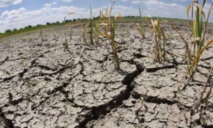 Ayuda divina: En Entre Ríos organizaron jornadas de rezo para acabar con la sequía