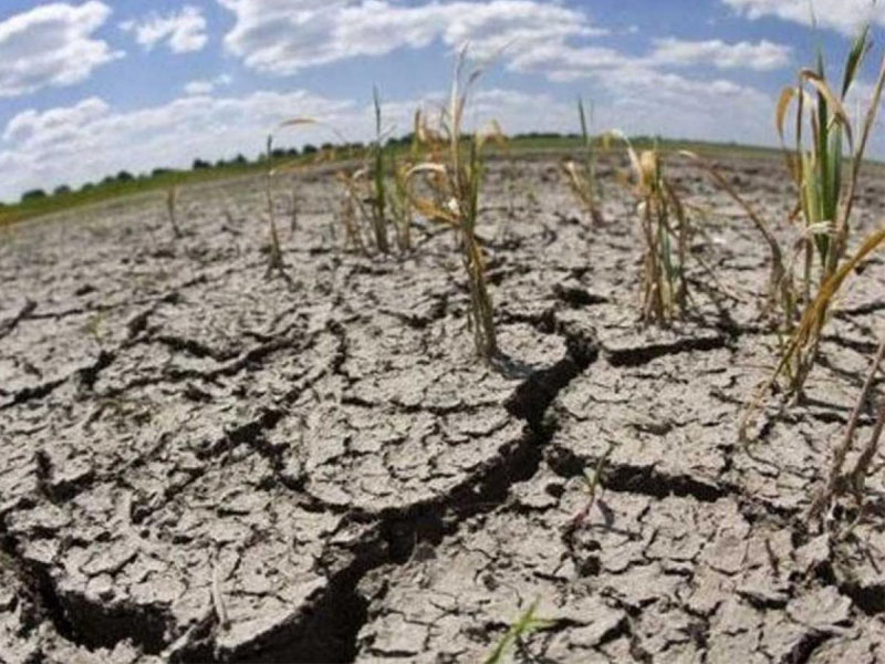 Ayuda divina: En Entre Ríos organizaron jornadas de rezo para acabar con la sequía