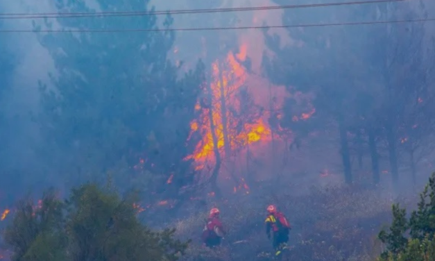 Incendios en Mendoza: el foco se extendió a más de 70 hectáreas