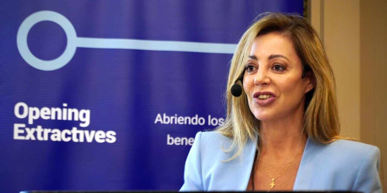 Flavia Royón habló de la intervención a Edesur y no descartó una futura estatización