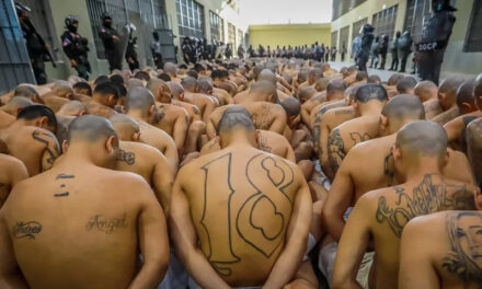 César Milani pidió construir centros de detención de máxima seguridad: «Hay que hacer algo parecido a El Salvador»