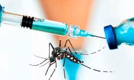 La ANMAT aprobó la vacuna japonesa contra el dengue
