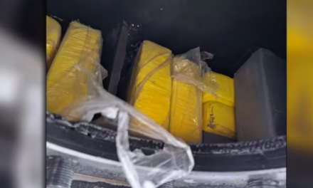 Los detalles sobre el camión de bananas que transportaba 100 kilos de cocaína