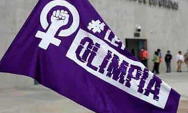 Ley Olimpia: media sanción en Diputados para la violencia digital contra las mujeres