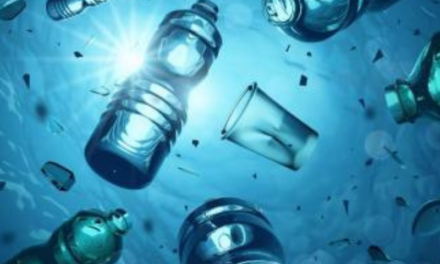 La ONU busca eliminar la contaminación plástica: «se incorporaran al medio ambiente 80 millones de toneladas de plástico adicionales»