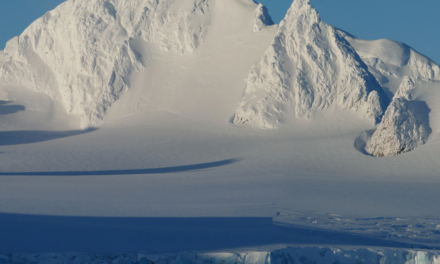 La Antártida en alerta por la pérdida histórica de hielo